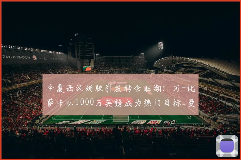 今夏西汉姆联引发转会狂潮：万-比萨卡以1000万英镑成为热门目标_曼联_英超_防守