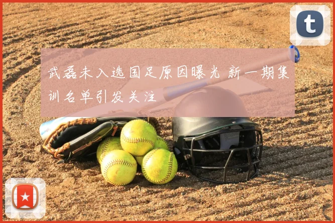 武磊未入选国足原因曝光 新一期集训名单引发关注