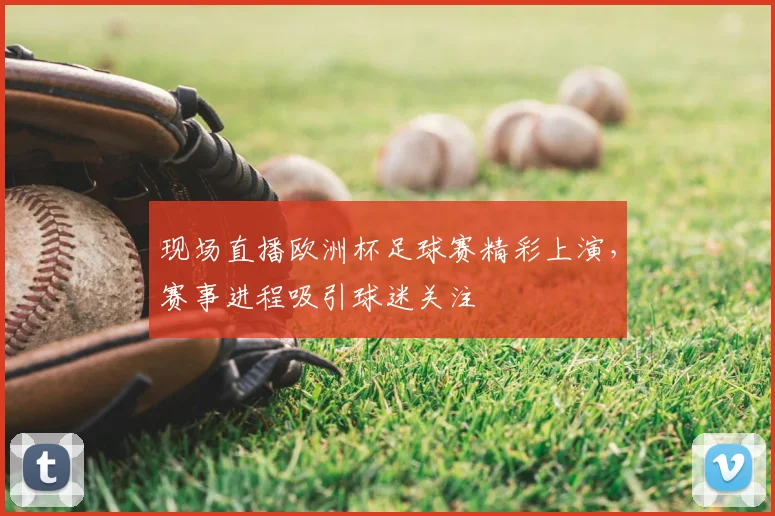 现场直播欧洲杯足球赛精彩上演，赛事进程吸引球迷关注