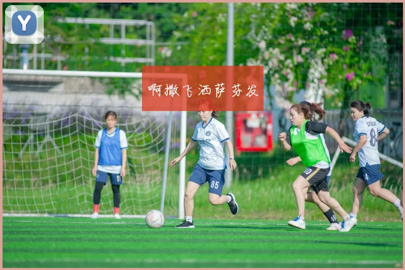 中国女排29日迎战日本队争夺巴黎奥运关键胜利