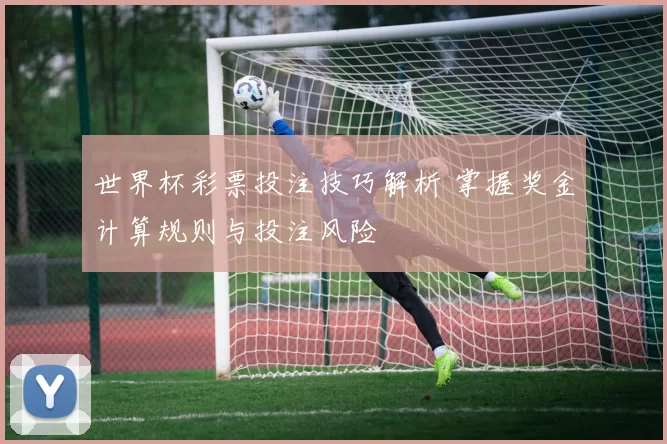 世界杯彩票投注技巧解析 掌握奖金计算规则与投注风险