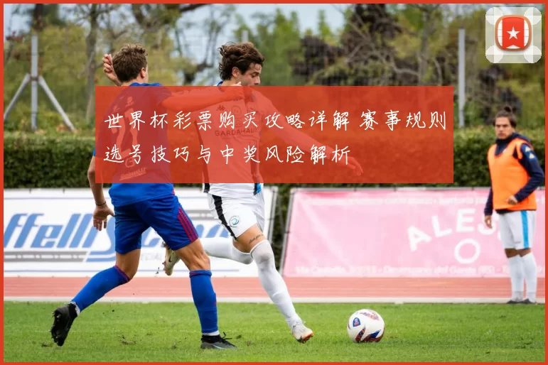 世界杯彩票购买攻略详解 赛事规则选号技巧与中奖风险解析