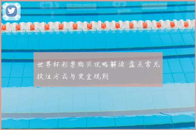 世界杯彩票购买攻略解读 盘点常见投注方式与奖金规则