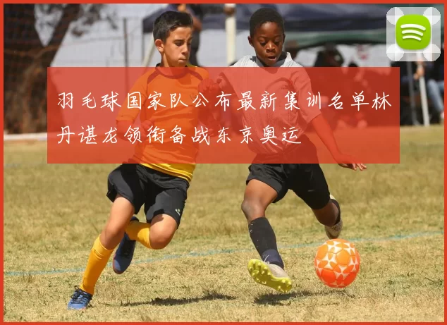 羽毛球国家队公布最新集训名单林丹谌龙领衔备战东京奥运
